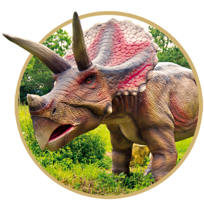 triceratops-rund2