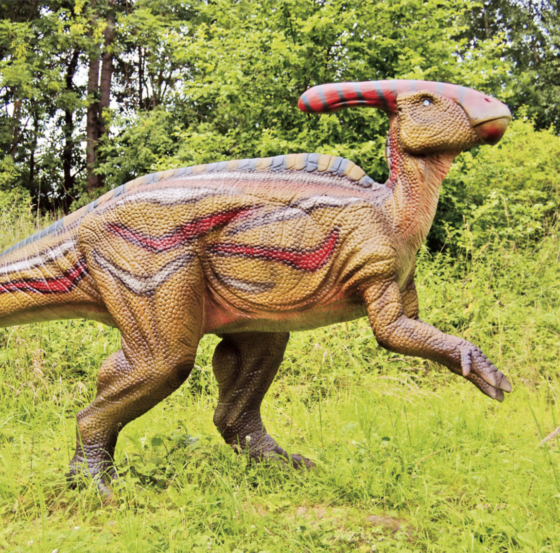 Parasaurolophus